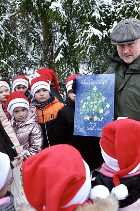 Wybraliśmy świąteczne drzewko-10518