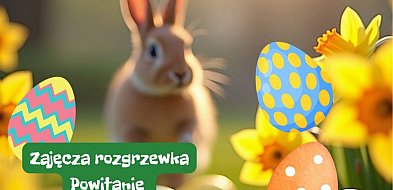 Wielkanoc tuż tuż! Pozbieraj z nami jajka w plenerze