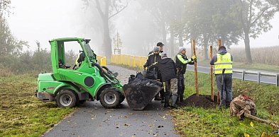 Aktualne konkursy FEdKP: zdrowie, bezpieczeństwo, zadrzewienia