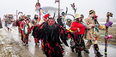 Na Kujawach kozy rządzą aż do Popielca (fotoreportaż)