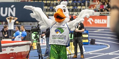 HMŚ Kujawy Pomorze 26: atrakcje dla kibiców nie tylko na trybunach