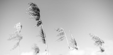 Minimalizm w kadrze – kilka ujęć, w których mniej naprawdę znaczy więcej