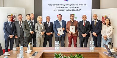 Zielone aleje powstaną przy kolejnych drogach wojewódzkich