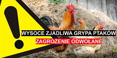 UWAGA! Wysoce zjadliwa grypa ptaków ODWOŁANA!