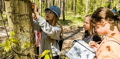 Przekaż 1,5 % podatku organizacji w regionie