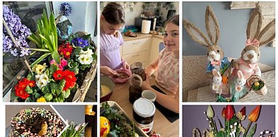 Podsumowanie Wiosennego Wyzwania