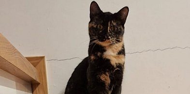 Wiadomość od mieszkanki