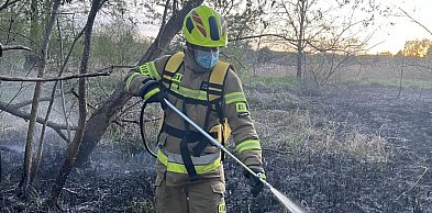 Pożar trawy i zdekompletowanego wraku samochodu w Chełmnie