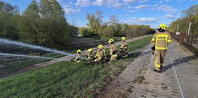 Aktywny początek tygodnia strażaków!