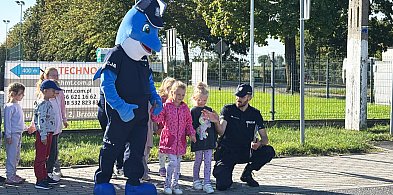 Z Polfinem przez pasy - policjanci uczą najmłodszych-95660