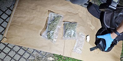 Zarzuty dla 29-latka za posiadanie i obrót narkotykami-95722