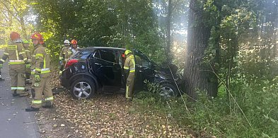 Wypadek w powiecie chełmińskim – samochód uderzył w drzewo-95835