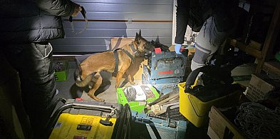 Chełmińscy Policjanci uderzyli w narkobiznes-98298