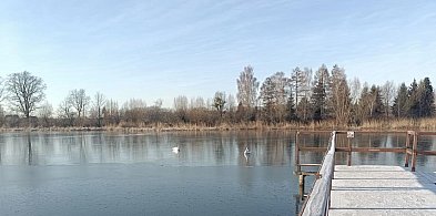 Nietypowa interwencja strażaków-98932