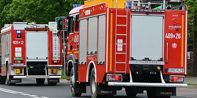 Dachowanie na DK55 w Stolnie. Kierowca wyszedł z wypadku bez obrażeń