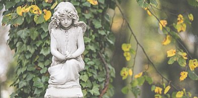 Śpieszmy się kochać ludzi – tak szybko odchodzą …-96917