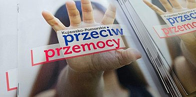 Wsparcie dla osób dotkniętych przemocą domową-96968
