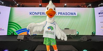 HMŚ Kujawy Pomorze 26: wybierz imię maskotki!-97457