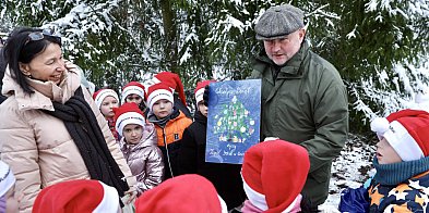 Wybraliśmy świąteczne drzewko-97959