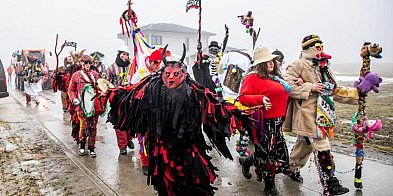 Na Kujawach kozy rządzą aż do Popielca (fotoreportaż)