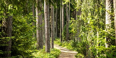 Kujawsko-Pomorski Plogging – dołącz do nas i posprzątaj