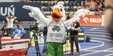 HMŚ Kujawy Pomorze 26: atrakcje dla kibiców...