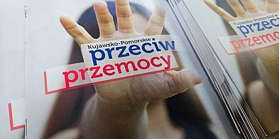 Wsparcie dla osób dotkniętych przemocą domową