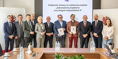 Zielone aleje powstaną przy kolejnych drogach...