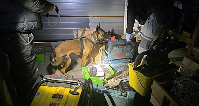 Chełmińscy Policjanci uderzyli w narkobiznes-98298