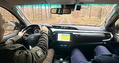 Wspólne patrole policjantów i strażników leśnych-98800