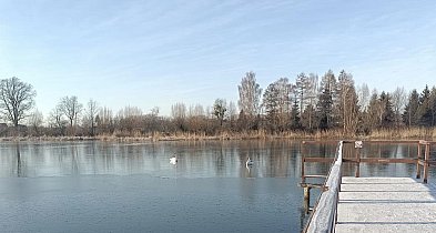 Nietypowa interwencja strażaków-98932