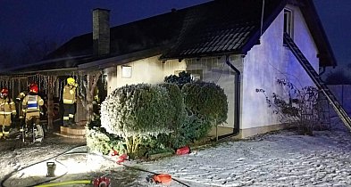 Pożar kotłowni w Trzebczu Szlacheckim. Na miejscu 11 zastępów służb-99139