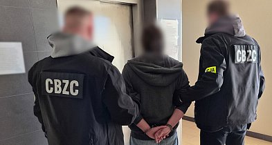 Gigantyczna akcja przeciw pedofilom. Policja ujawnia porażające liczby