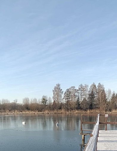 Nietypowa interwencja strażaków-98932