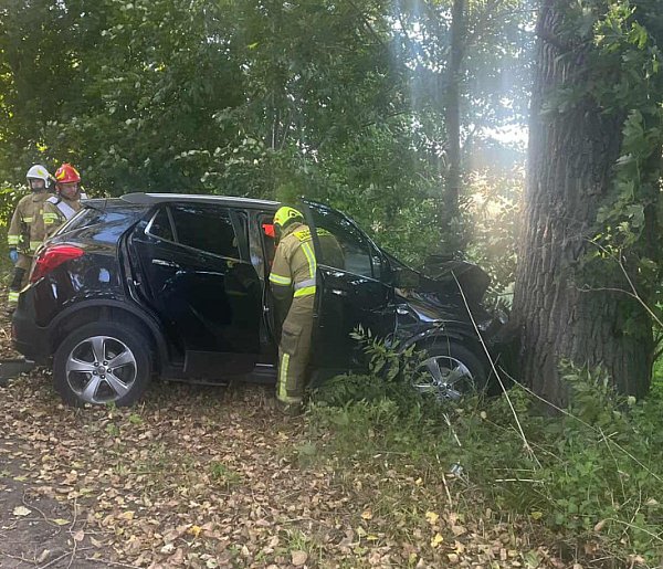 Wypadek w powiecie chełmińskim – samochód uderzył w drzewo-95835