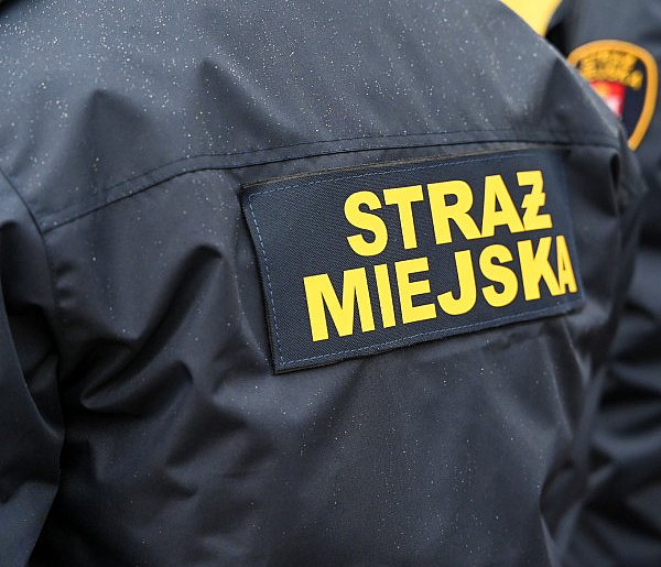 Zapuka strażnik, zapłacisz karę. Ruszyły kontrole w całej Polsce-96366
