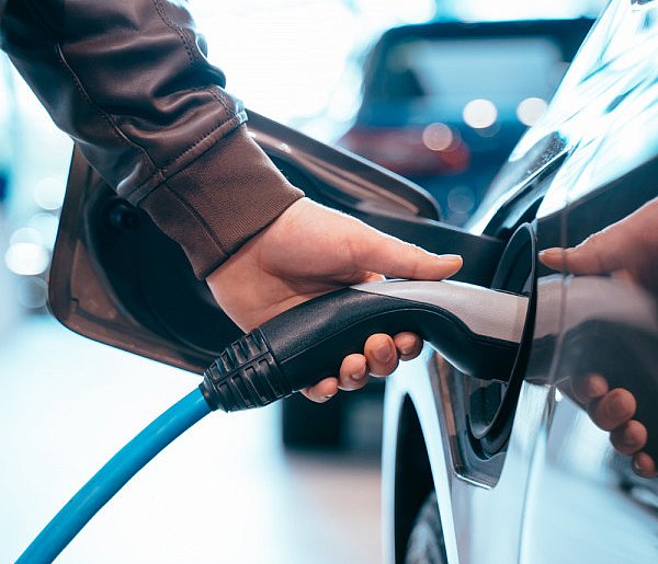 Coraz częściej dochodzi do takich kradzieży. Powody zaskakują-99560