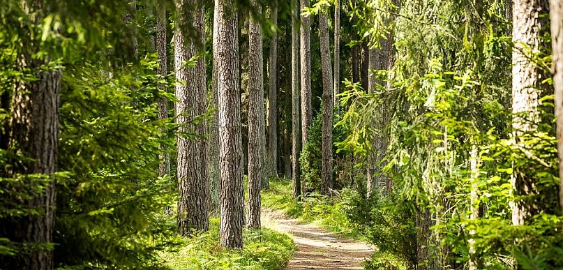 Kujawsko-Pomorski Plogging – dołącz do nas i posprzątajmy razem region!