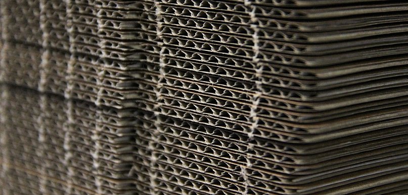 Tektura w obiegu zamkniętym - jak firmy mogą odzyskiwać surowiec?