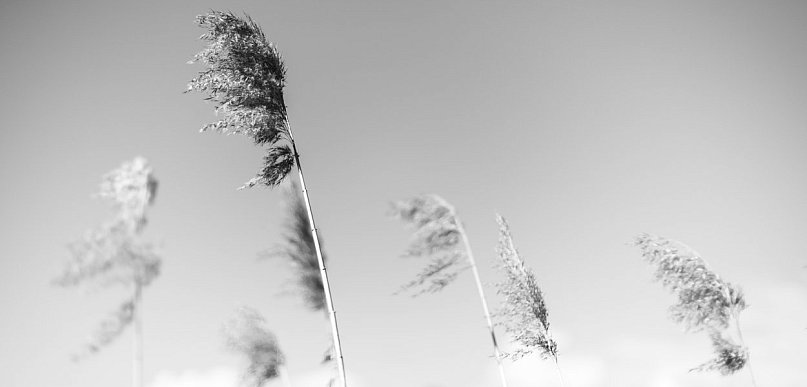 Minimalizm w kadrze – kilka ujęć, w których mniej naprawdę znaczy więcej