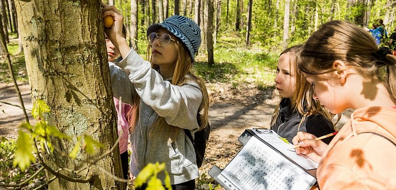 Przekaż 1,5 % podatku organizacji w regionie