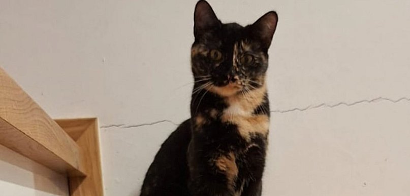 Wiadomość od mieszkanki