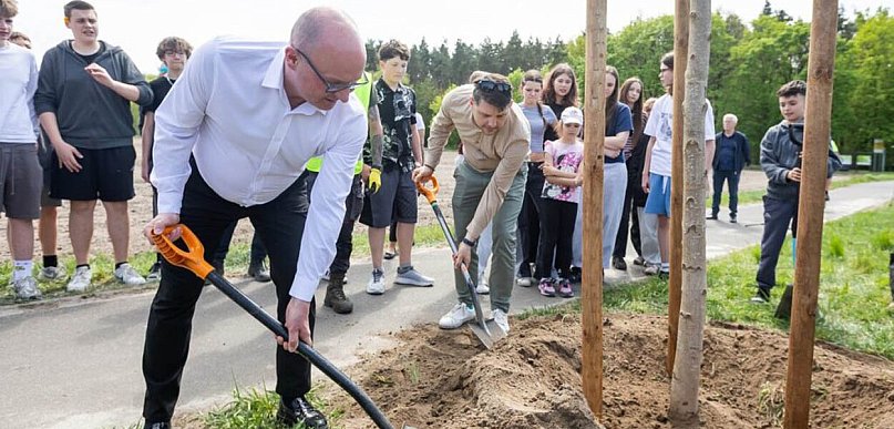 Zielone aleje wracają