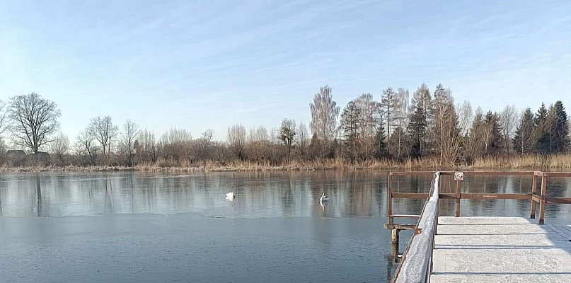 Nietypowa interwencja strażaków - 98932