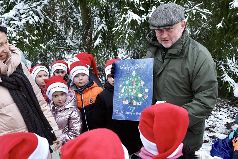 Wybraliśmy świąteczne drzewko