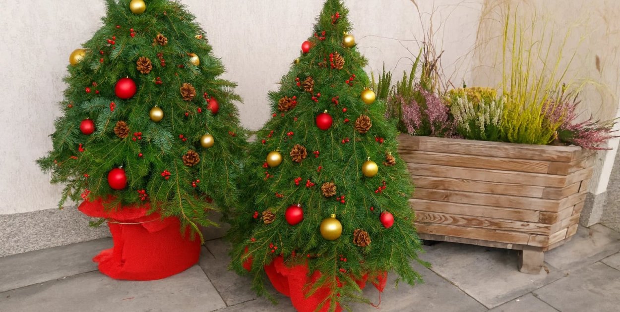 Zielona ekipa w akcji!