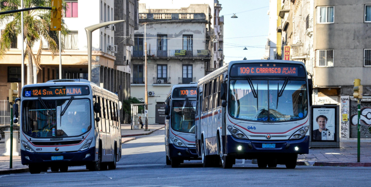 Źródło zdjęć: własne