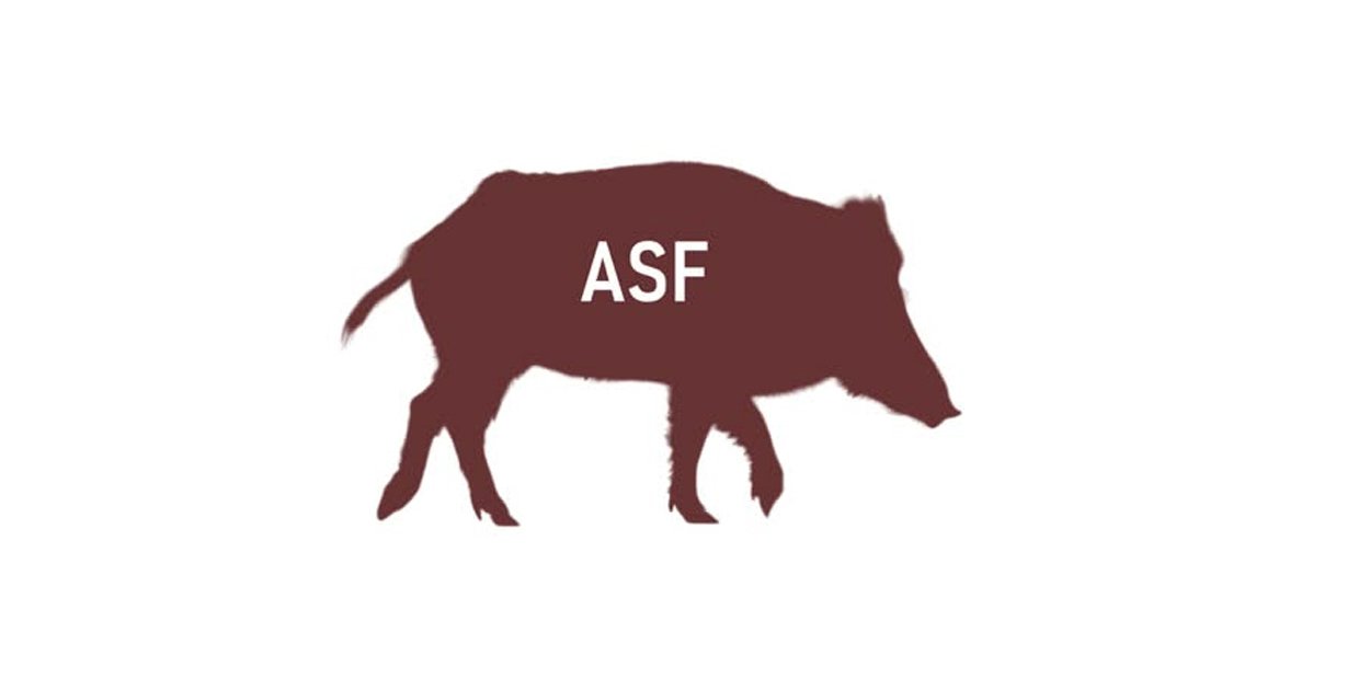 Zmiana obszarów objętych ograniczeniami w związku z ASF!