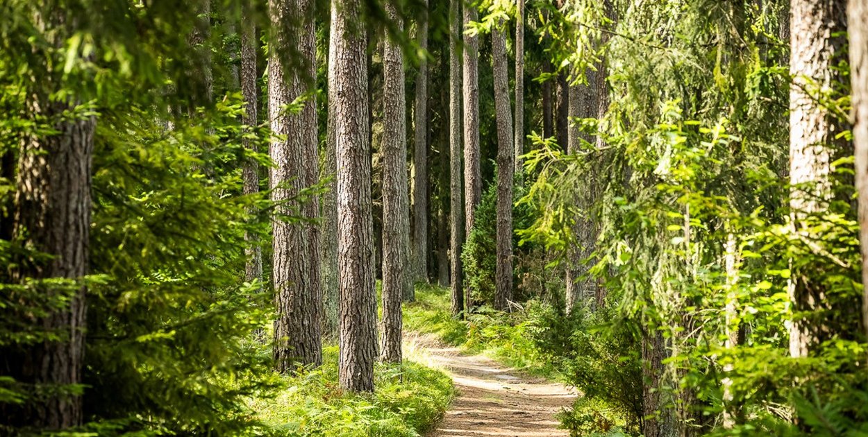 Kujawsko-Pomorski Plogging – dołącz do nas i posprzątajmy razem region!