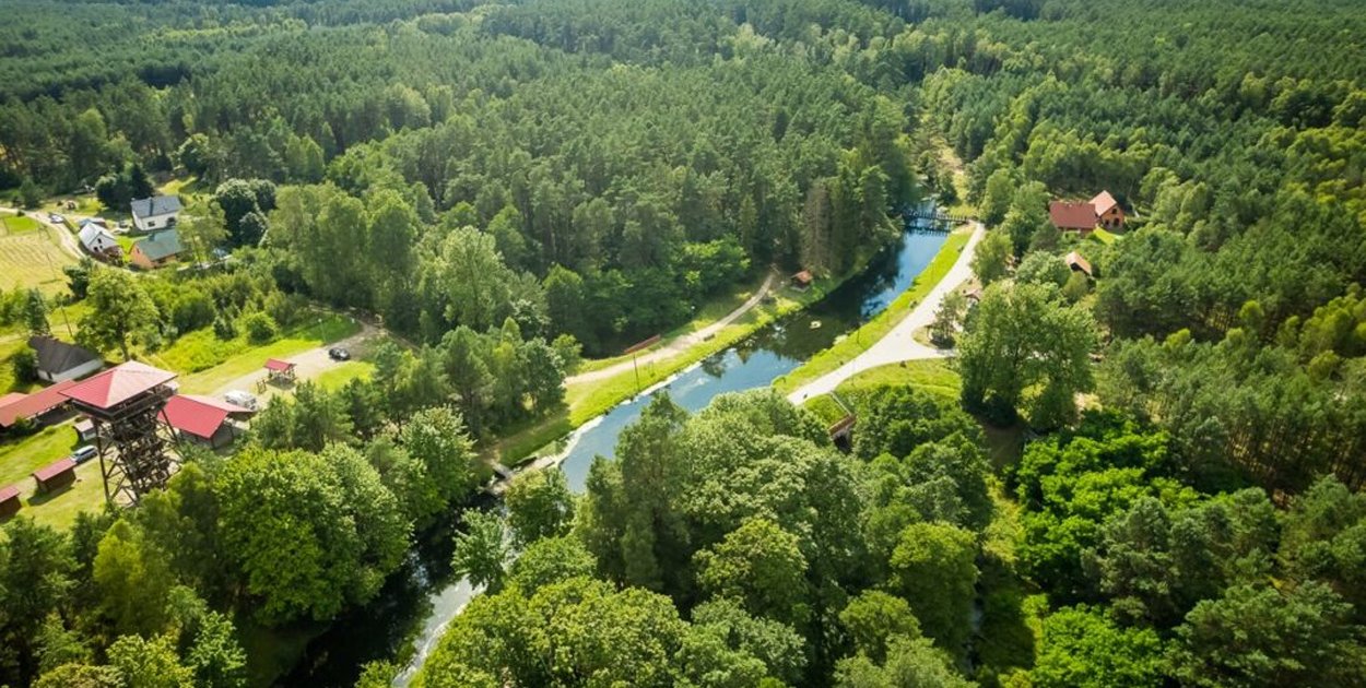 Tucholski Park Krajobrazowy – 40 lat ochrony przyrody